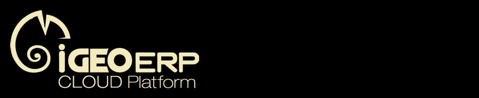 iGEO ERP
