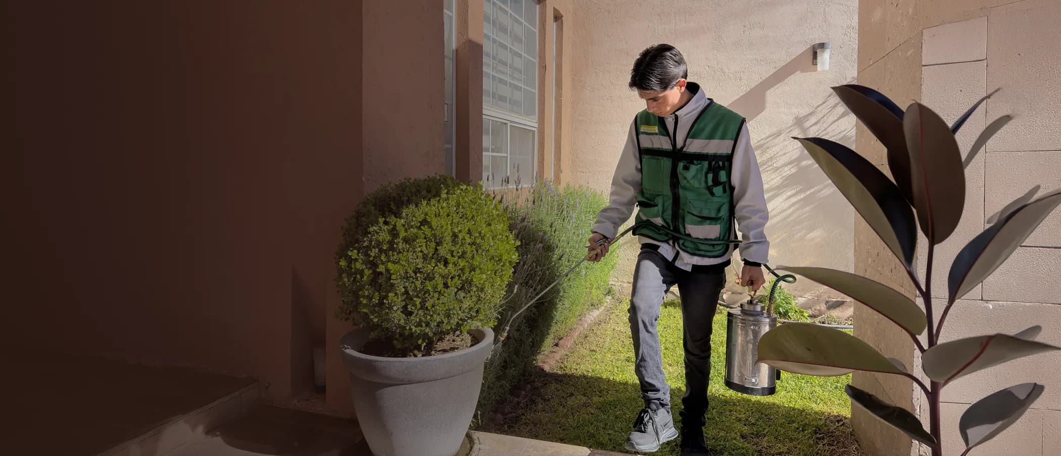 Servicios de control de plagas y fumigaciones en Ciudad Juárez