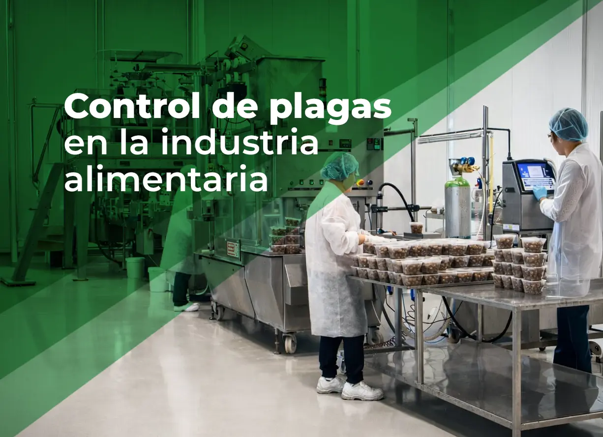 control de plagas en la industria alimentaria