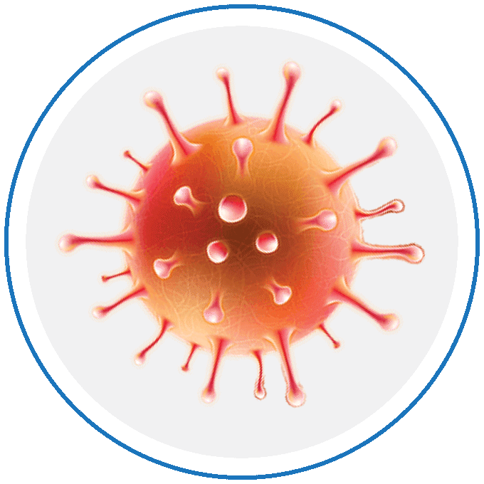 virus covid 19